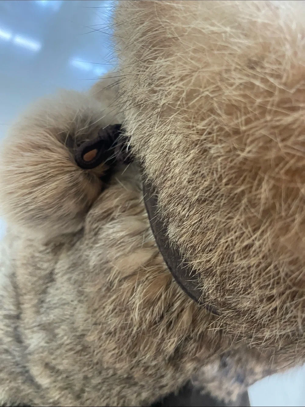BearPaw Brown Faux Fur Winter Boots